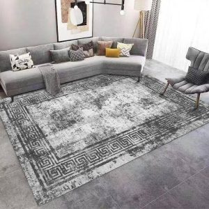 Durable Modern Carpet